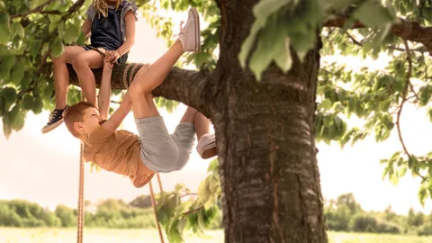 Kinder kletter auf dem Baum